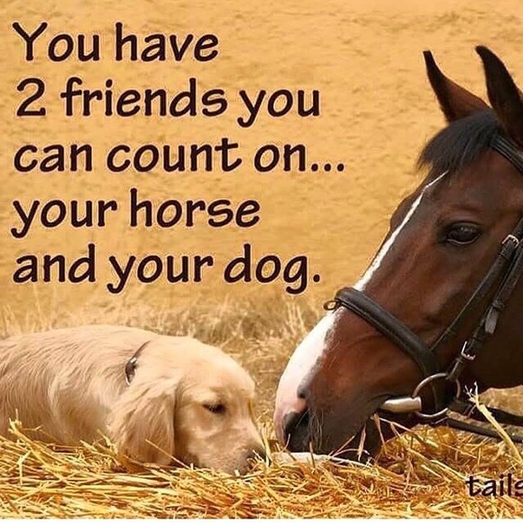 Meet the Posher - Picture 4 of 8